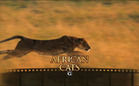 Review: African Cats