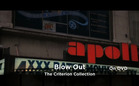 Hot & Now: Blow Out / Le Quattro Volte
