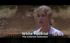 Hot & Now: White Material / Le Cercle Rouge