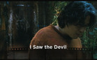 Hot & Now: I Saw the Devil / The Fighter