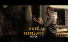 Review: Water for Elephants