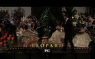 Roger's Office: The Leopard