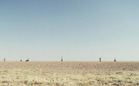 Trailer: The Way Back